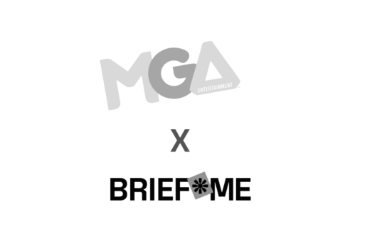 Brief me dla MGA Entertainment Poland